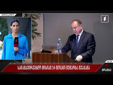 სადამკვირვებლო მისიამ 14-წლიანი მუშაობა შეაჯამა